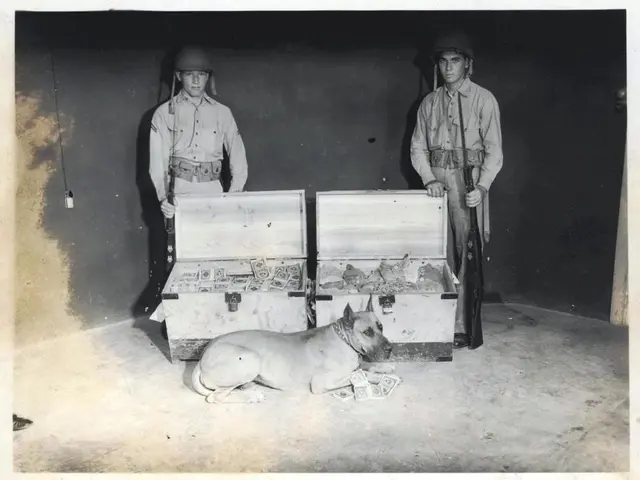 Young adolescent undergoes an encounter with a shepherd breed canine, resulting in a bite incident.