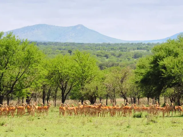 Guide allegedly swindled over $660,000 from clients: Accusations leveled against the hunting guide