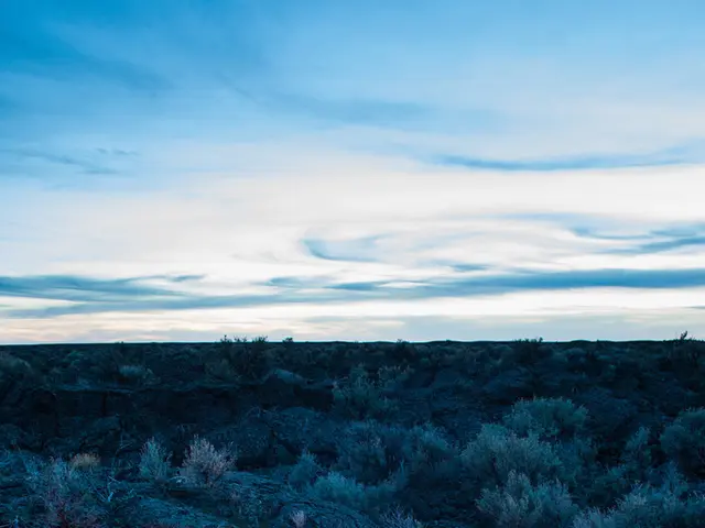 In the Scenario of Wilderness Training, One's Decision to Always Carry Tampons is Irrevocable.