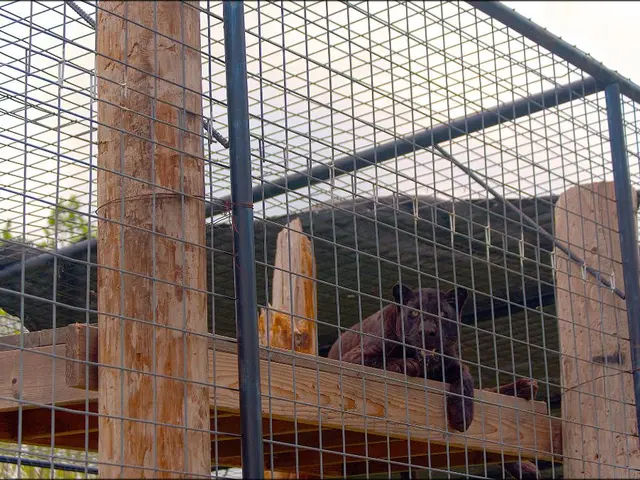 Marvel's Intergalactic Overhaul Signals New Distribution of Cosmic Influence