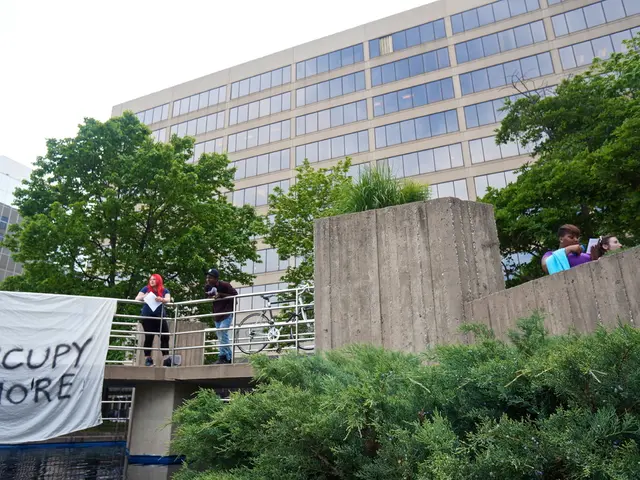 Concerned Citizens Express Anxiety Over Bridge Integrity and Compensation Arrangements