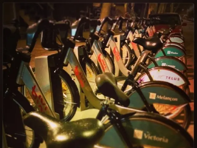 Authorities are on the hunt for the proprietor of multiple bikes