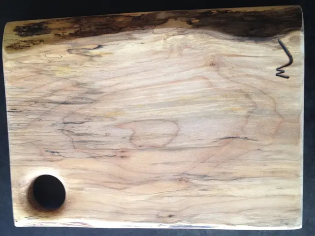 Might microcement flooring be the ideal choice for minimal-upkeep surface treatments? Specialists...