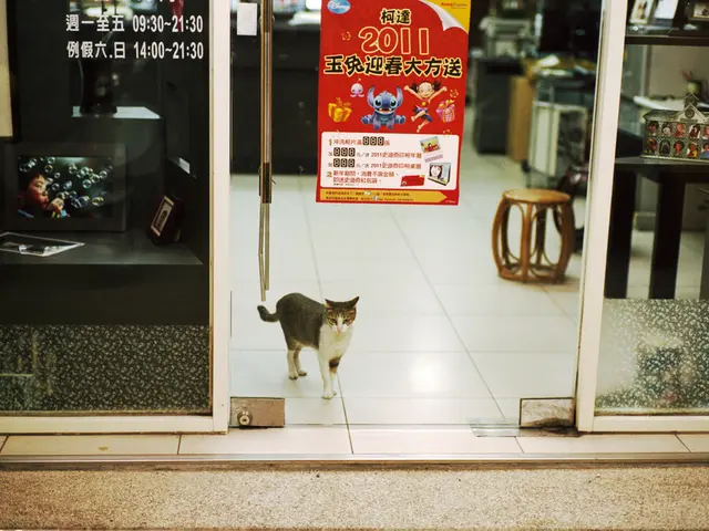 Saxony-Anhalt's access to asylum is anticipated to drastically decrease come August 2025