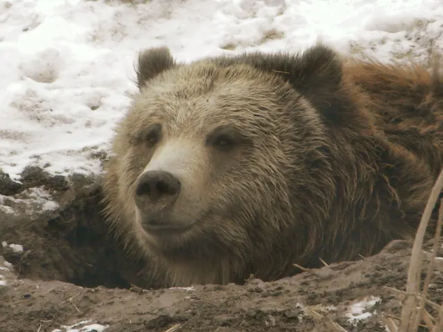 September's early chill persists in Manitoba weather predictions