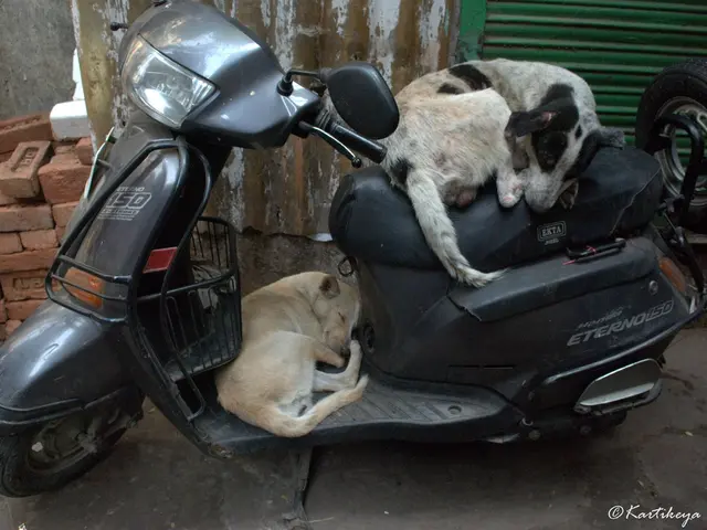 Collaboration of Beam and Neuron: The Two Companies Officially Combine Forces