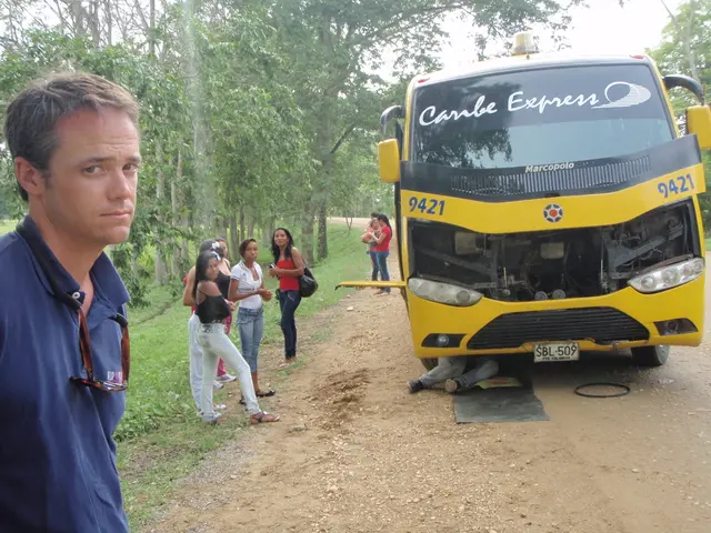 Bus trips on Bee Network will be free for elderly and disabled passengers as part of a new trial.