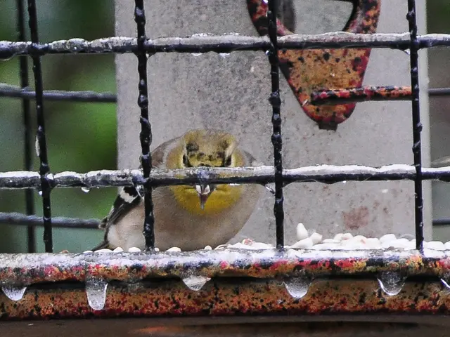 Investors of Alto Neuroscience, Inc. are advised to reach out to the Portnoy Law Firm to claim...