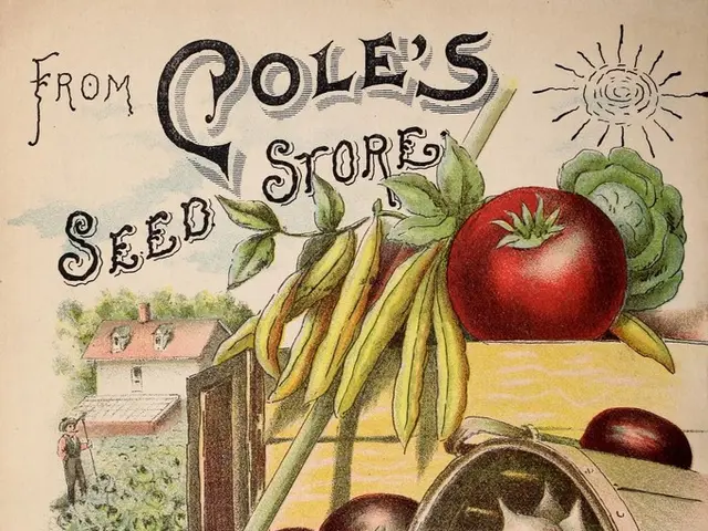 Money is at one's disposal