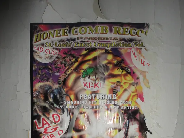 The Essence of Inflammation: An Explanation