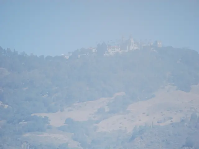 Discussing Restorative Successes in the Horse World: Interview with Elite Equine CEO