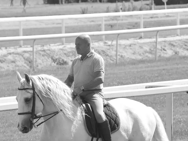 Tips for rehabilitating ex-racehorses from thoroughbred breed: Tik Maynard's guide to reeducating...