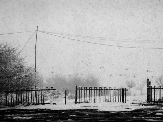 Scorching temperature dominates weather conditions.