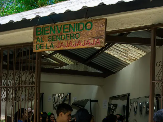 Stock rejuvenation efforts underway - potential positive impact of DAS's Intel holdings?