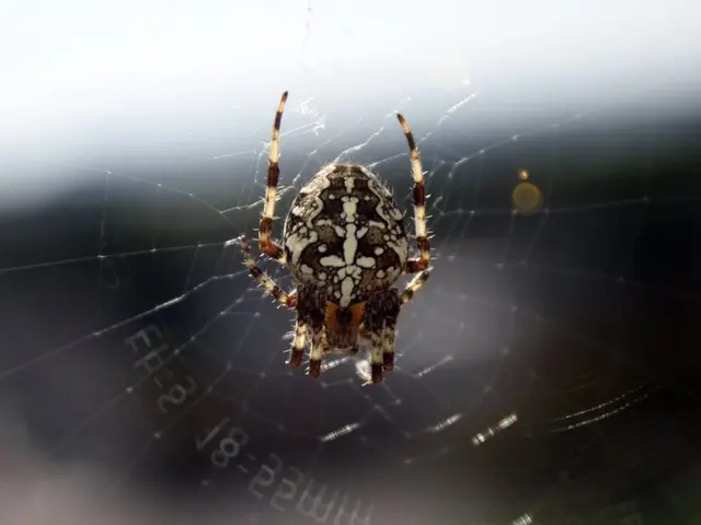 Actor Andrew Garfield expresses his interest in reprising the role of Spider-Man, and fans are...