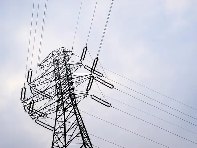 Home Internet Service Provider in Omsk Experiences an Outage