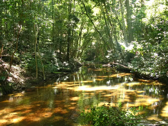 Roonstraat's Total Shutdown