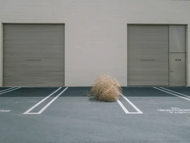 Achievement in the Fibre Industry: XpFibre Wins Prestigious Award