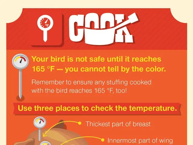 County council in Solingen bans rooster fighting