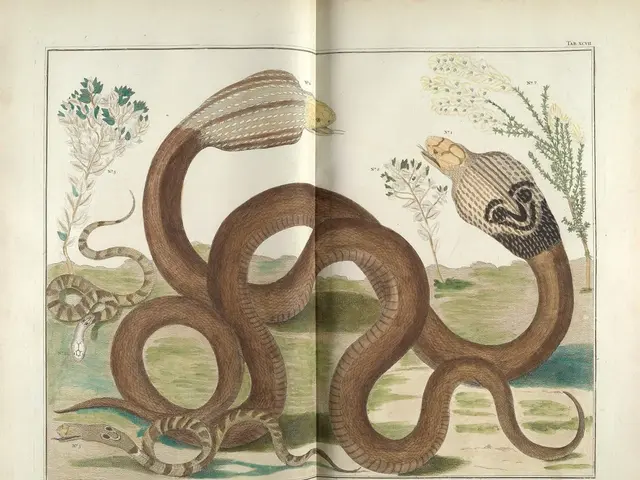 Destructive Aquatic Creatures: Nine Invasive Animals Wreaking Havoc Across the U.S.