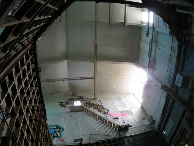 Iron Overload's Impact on Cognitive Abilities: An Unnoticed Danger Factor