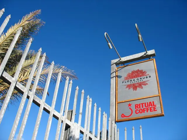 Detailed Instructions for Improving Backdrop Elimination in Visual Materials