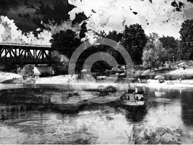 Delving into the intricate workings of contemporary governance: Intergovernmental Interactions