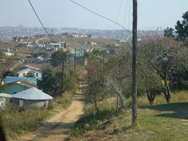 Foundational Guidelines for Every Novice in Permaculture: 12 Essential Elements to Learn