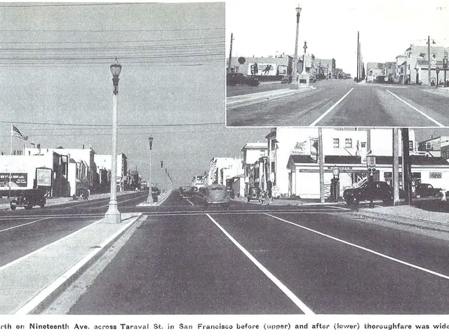 Opinion piece penned by Christian Wolff: The Need for Nonsense - Contemplating Current Necessities