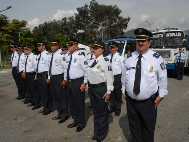 The Distinction Between Long-Term and Temporary Public Sector Employment Positions