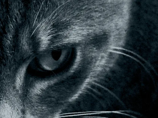 Revolutionary Gadget Paves Way for Efficient Vision-Preserving Treatments