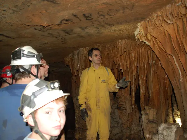 Concealment Required for the Face