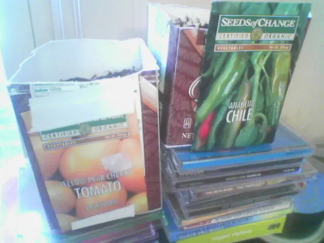 U.S.-based Amkor's expanded Arizona facility promises to address domestic chip production...