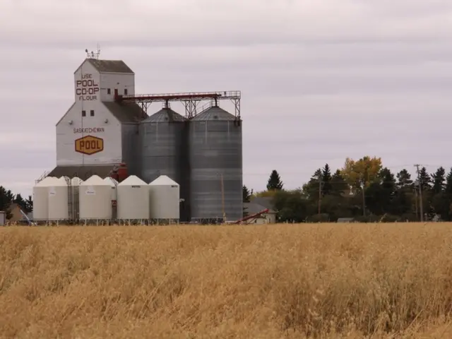 ManagingData Center Demand: Strategies to Avoid