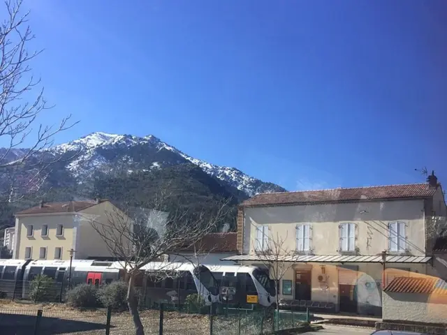 Collision leaves minor injuries: Political event affected by vehicle accident