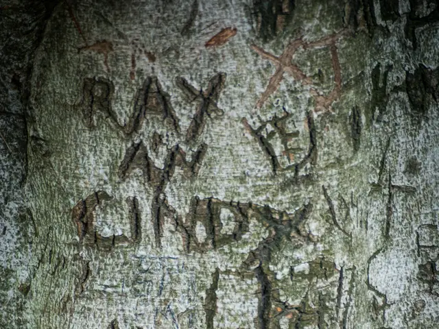 Unveiling Victory Over Tax Swindling