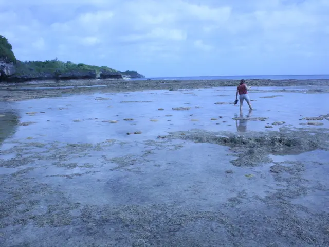 "Twenty-Two Trains" hits cinemas: As heart-wrenching as the top-selling novel