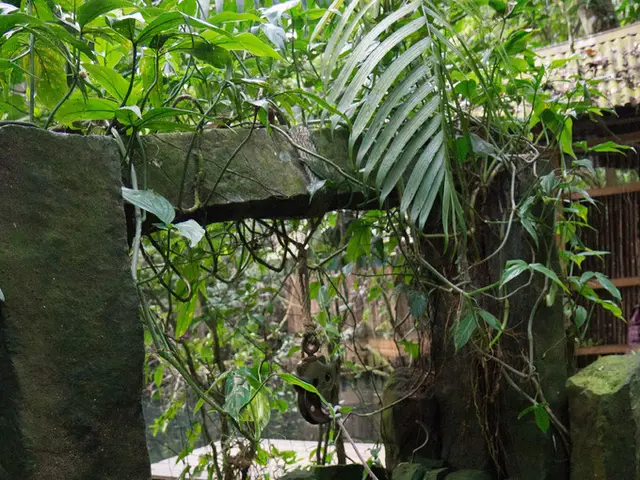 Granted permission for personal construction site near England's historical landmark, an ancient...