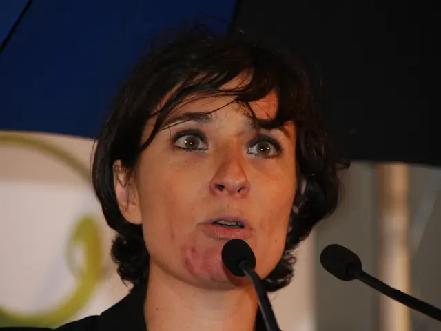 Criticism levied by Malte Spitz towards the handling of individuals with stuttering in Germany