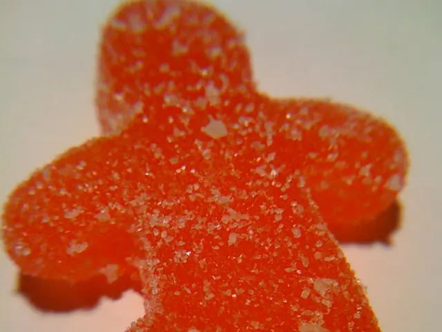 New model of FreeStyle Libre 2 Plus, featuring continuous glucose monitoring, unveiled by Abbott