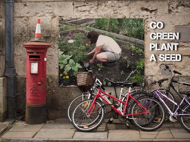 Cyclist Meets Misfortune on Bike Path: Crashes and Remains Stranded