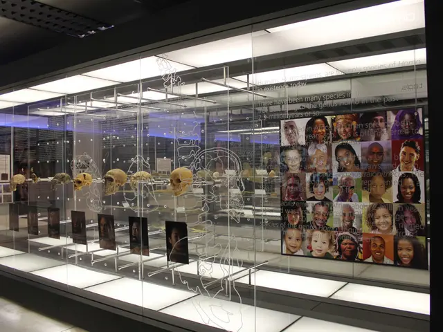 European Legislative Body, Consisting of the Parliament and the Council,