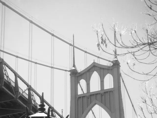 "Only Operating Publicly Exposed Entity Still Standing"