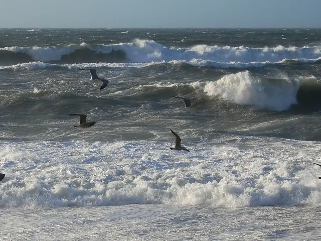 Online dating platform offering singular opportunities for connecting with potential matches...