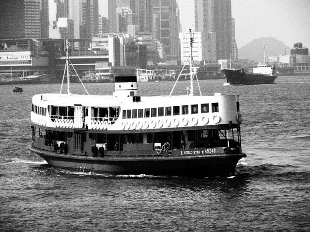 Four baby storks have hatched this year and are now residing on a distant continent, according to...