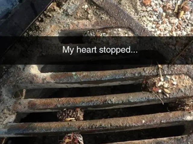 Artificial Heart Recipient Shatters Previous Longevity Mark