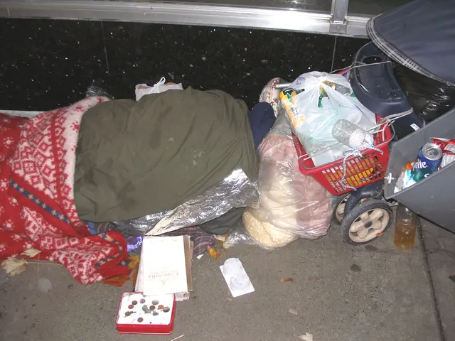 Customs Clearance Process Unveiled: Behind the Scenes of Your Package Delivery Beyond Holidays