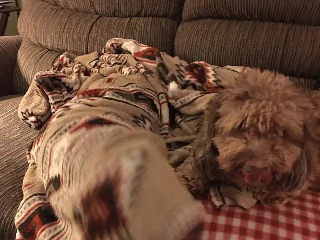 Top Choices for Sofa Beds Mattresses: Essential Recommendations for 2025