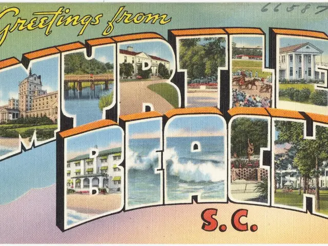 Otter-themed Art Event in Newport (Sea Otter Painting Night)