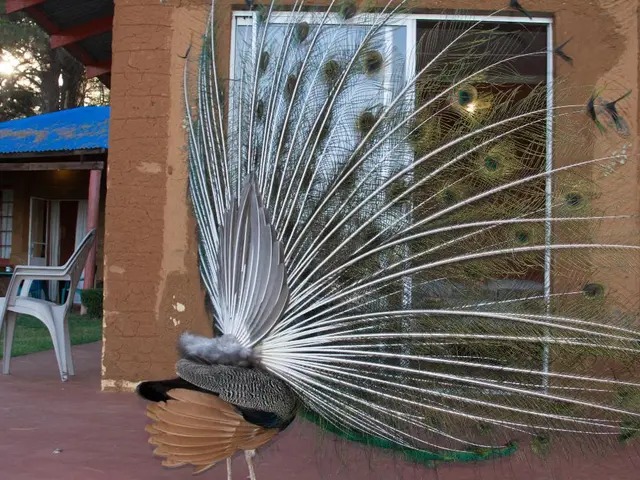 Zydus Wellness makes move with £239 million purchase of Comfort Click UK, represented by law firms...